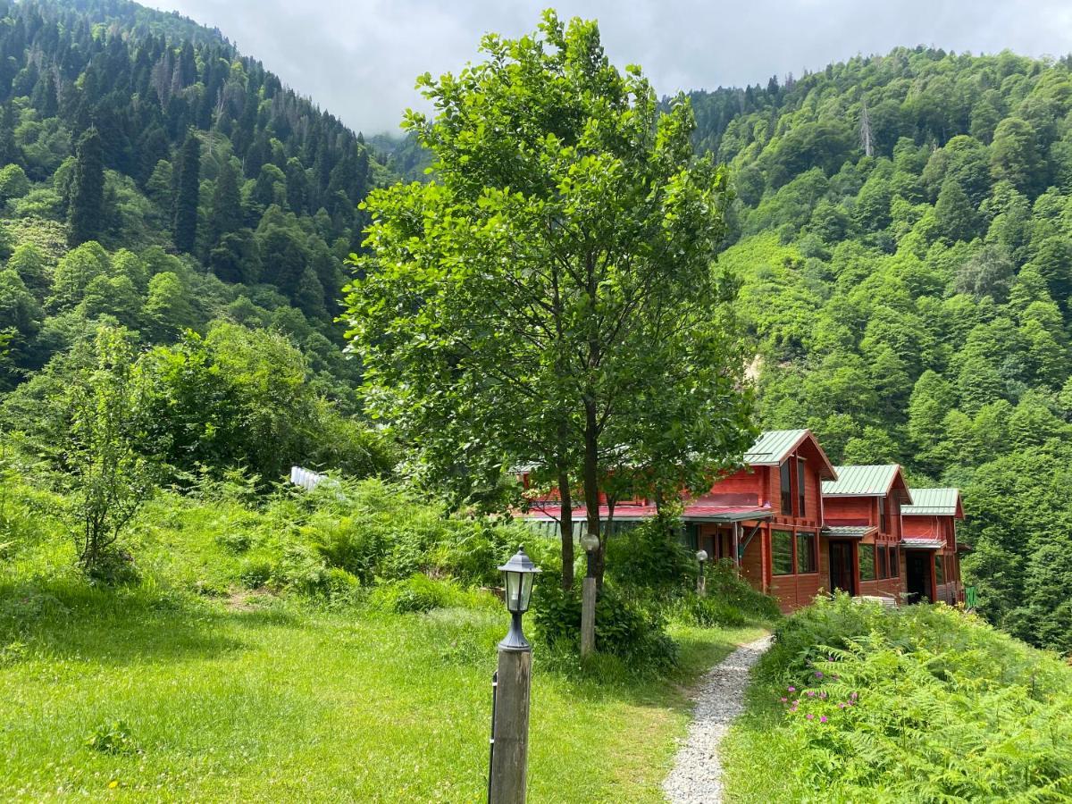 Ayder Villa Gencal Kültér fotó