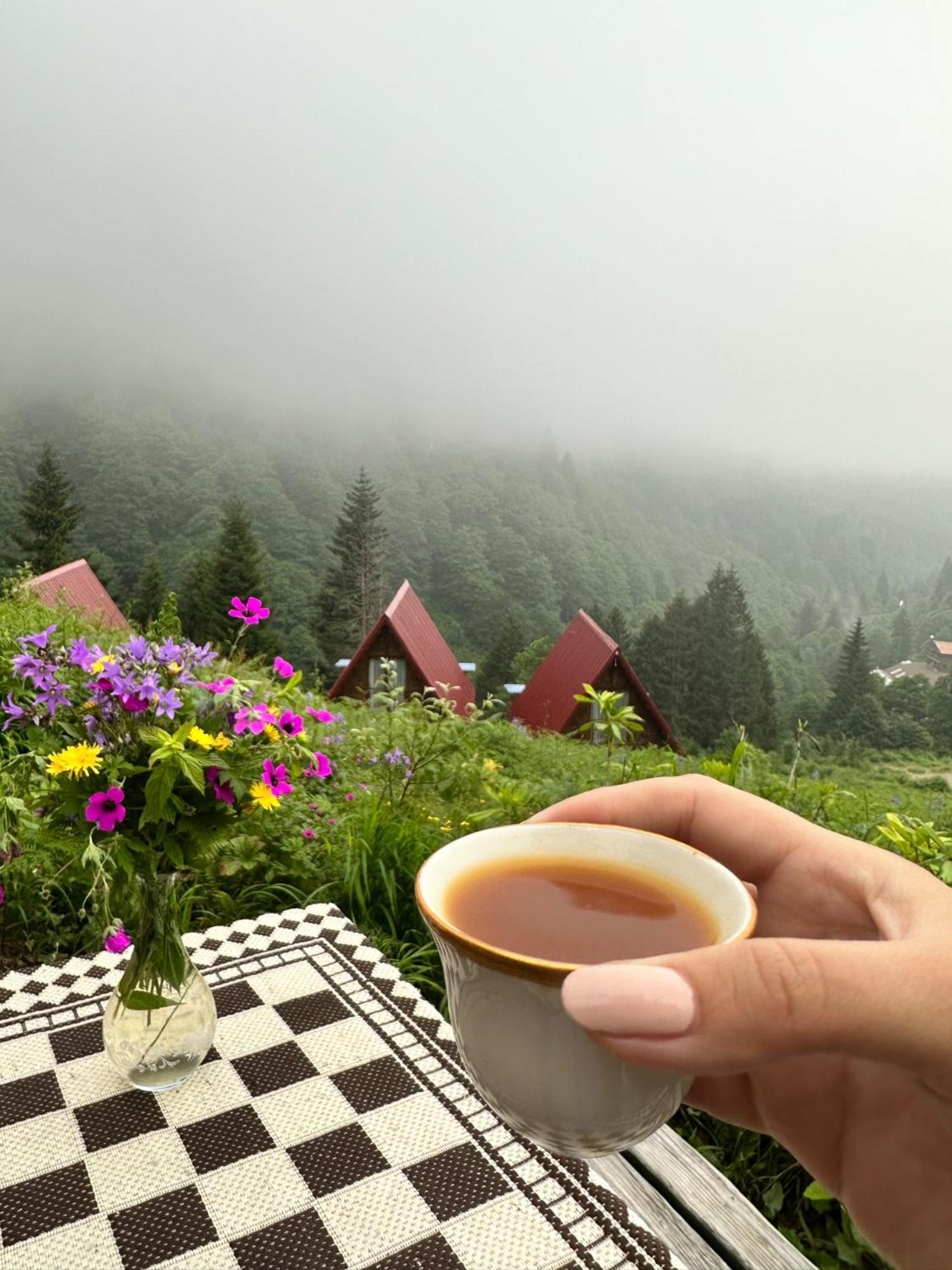 Ayder Villa Gencal Kültér fotó