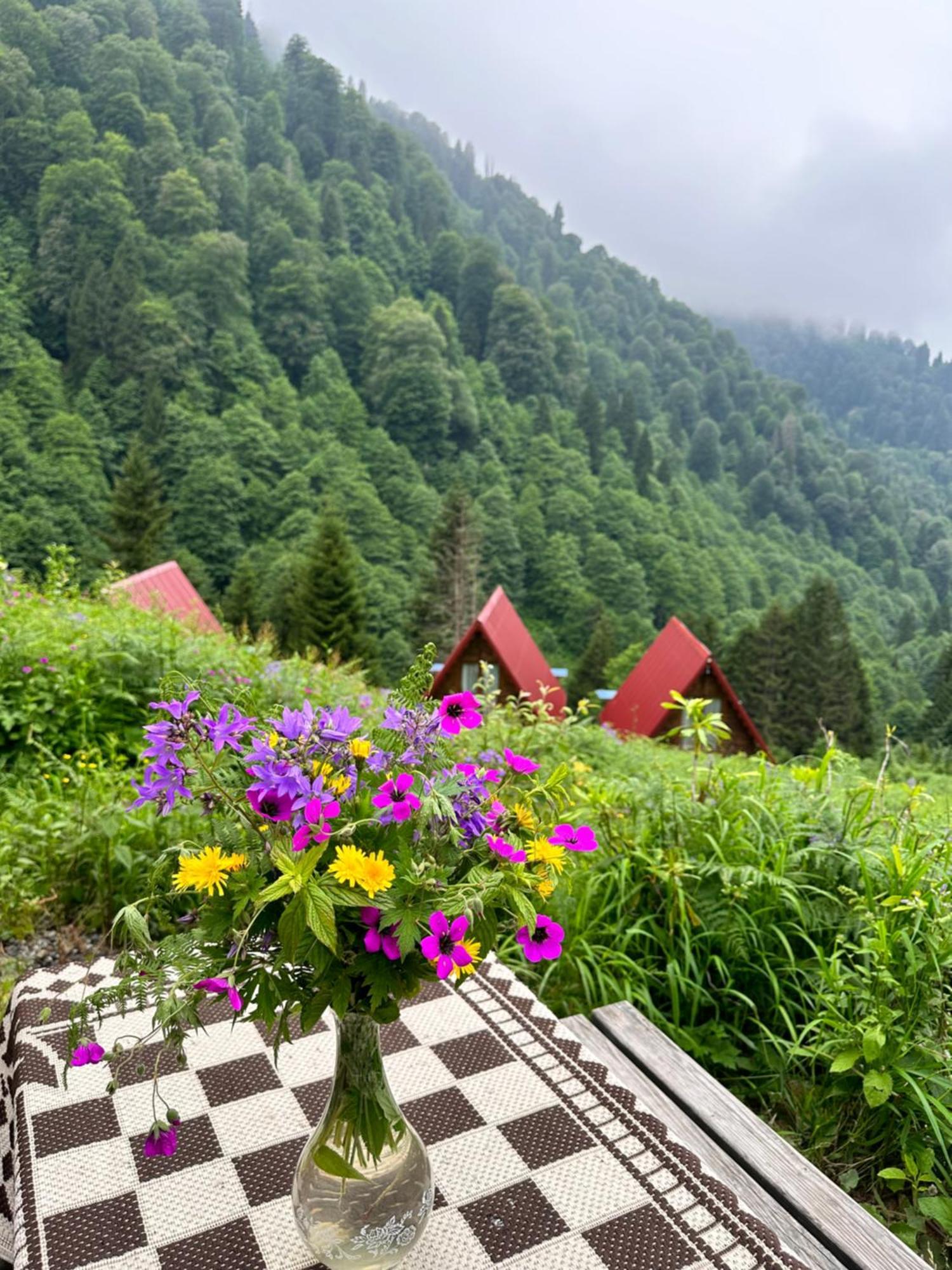 Ayder Villa Gencal Kültér fotó