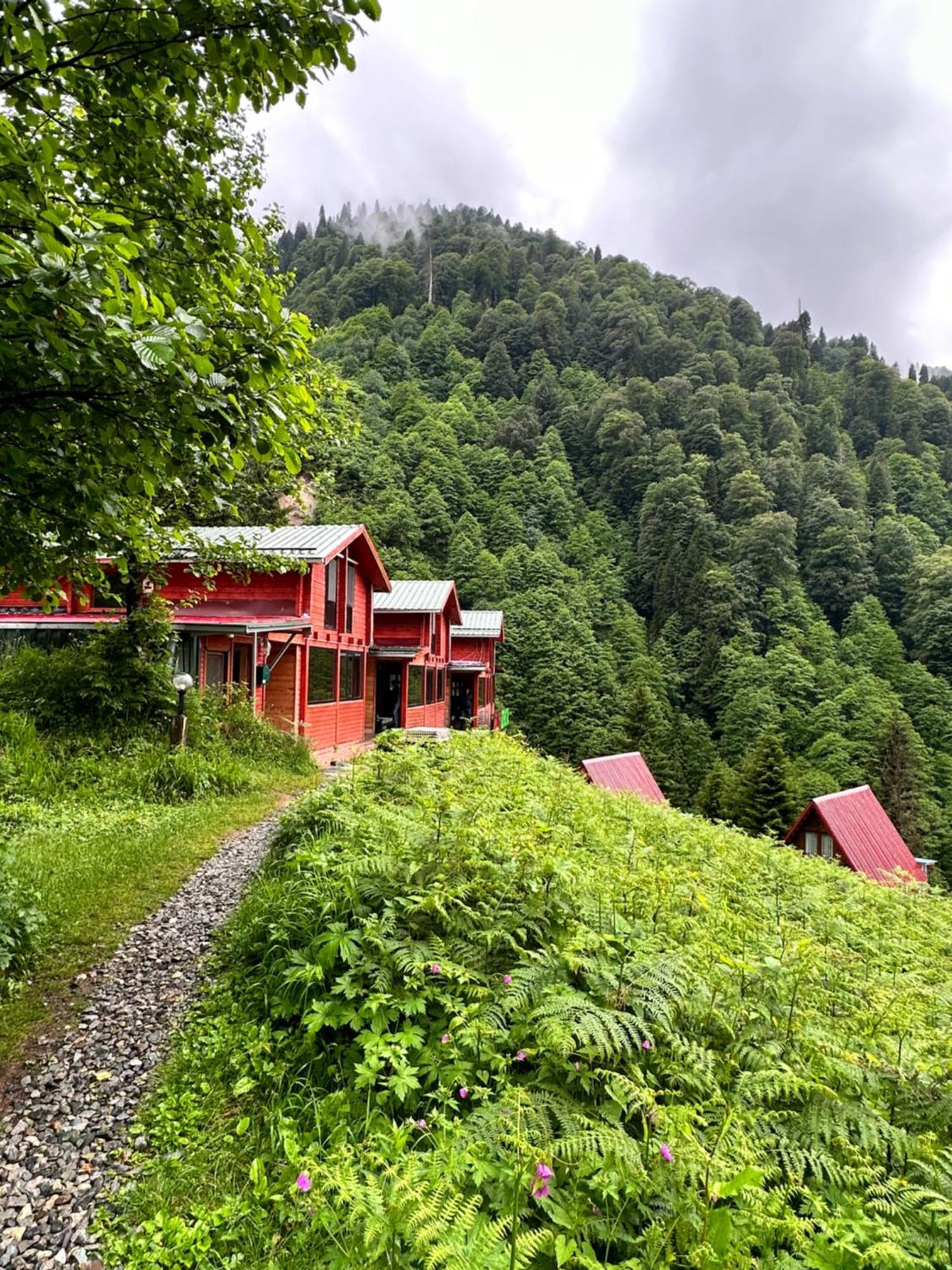Ayder Villa Gencal Kültér fotó