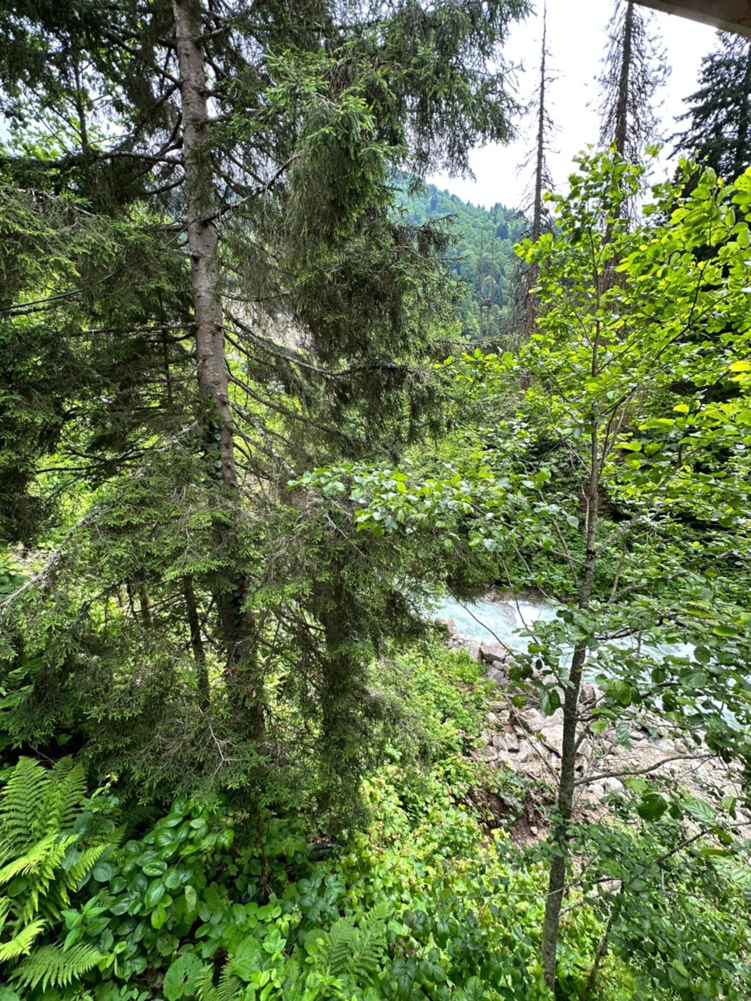 Ayder Villa Gencal Kültér fotó