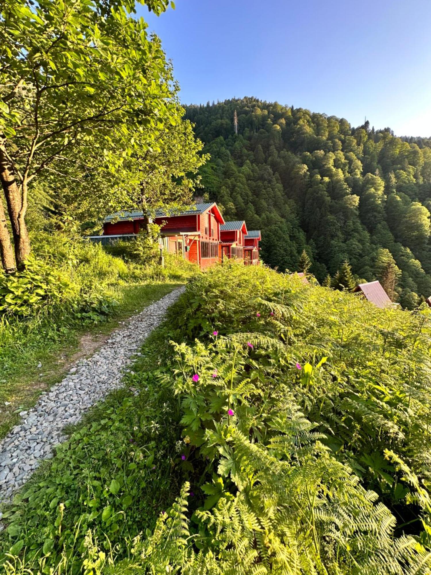 Ayder Villa Gencal Kültér fotó