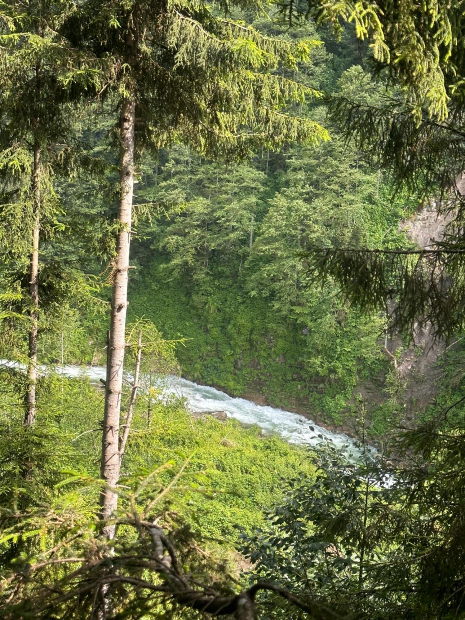 Ayder Villa Gencal Kültér fotó