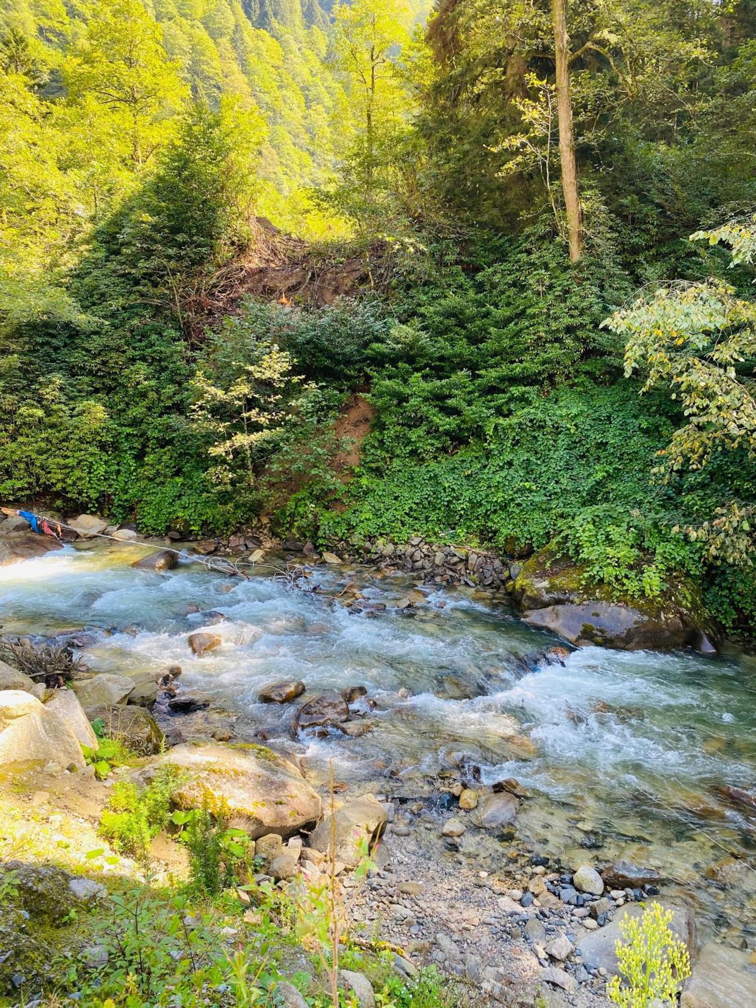Ayder Villa Gencal Kültér fotó